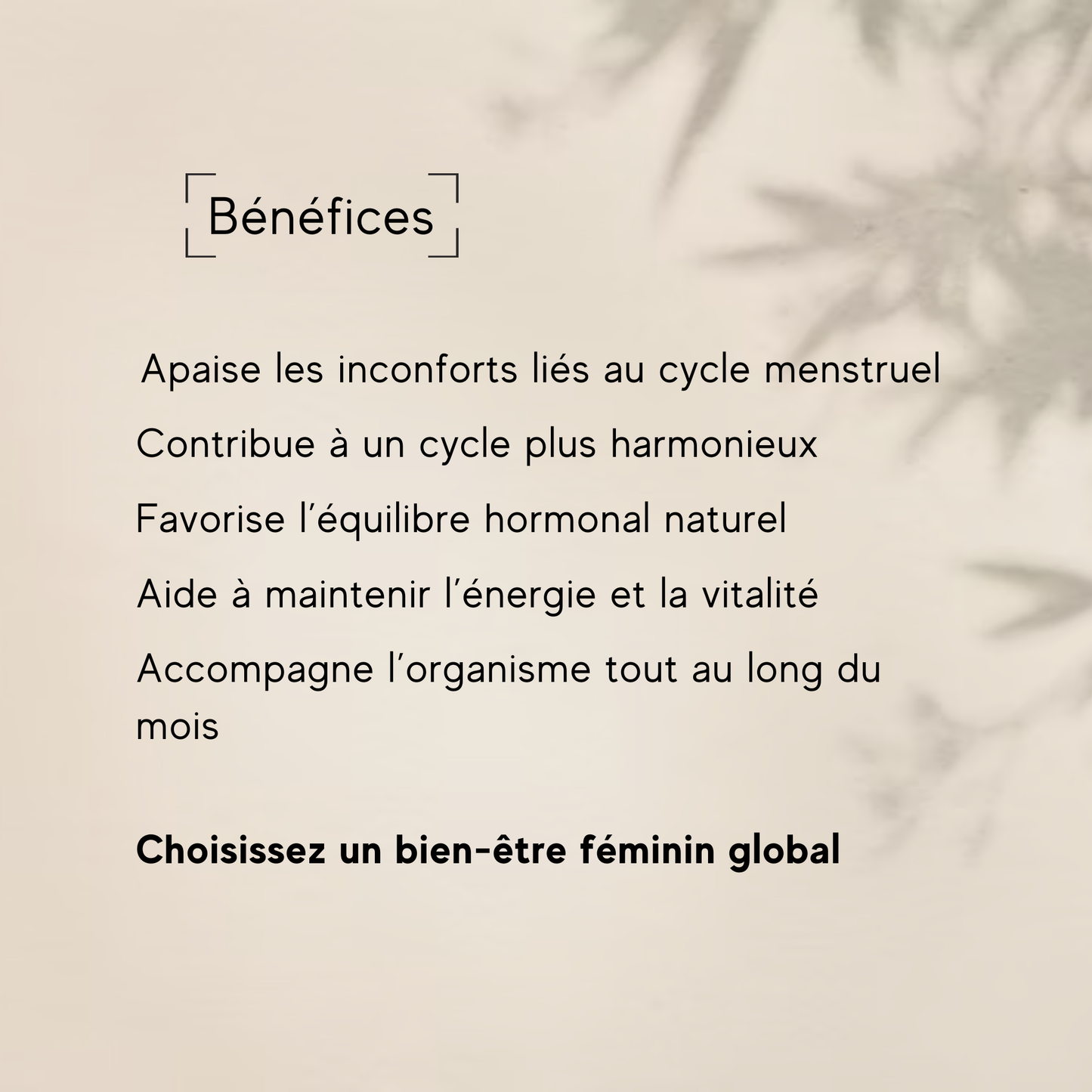 CYCLE SUPPLEMENT (NEW)