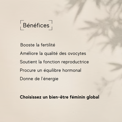 WOMEN'S FERTILITY SUPPLEMENT (NEW)